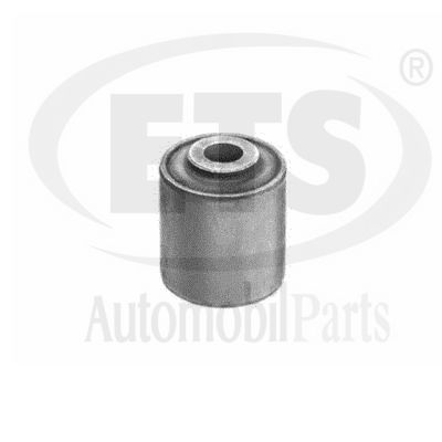 Mounting, control/trailing arm (31.SB.333)