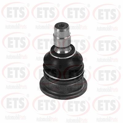 Ball Joint (05.BJ.646)