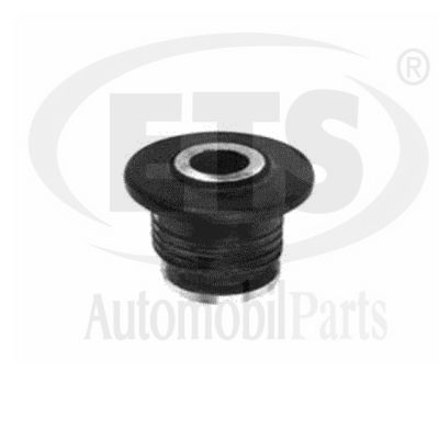 Mounting, control/trailing arm (22.SB.071)