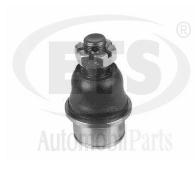 Ball Joint (09.BJ.483)