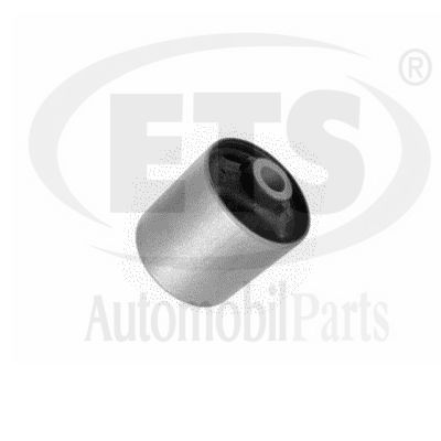 Mounting, control/trailing arm (12.SB.703)