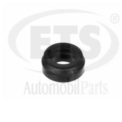 Suspension Strut Support Mount (06.ST.103)