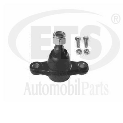 Ball Joint (09.BJ.481)