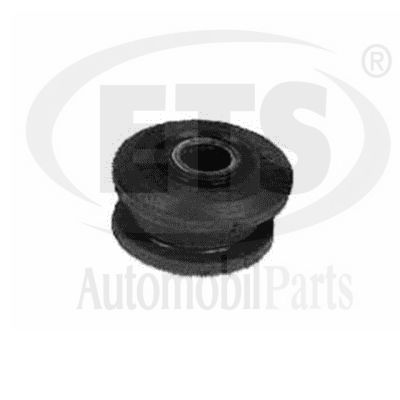 Mounting, control/trailing arm (19.SB.482)
