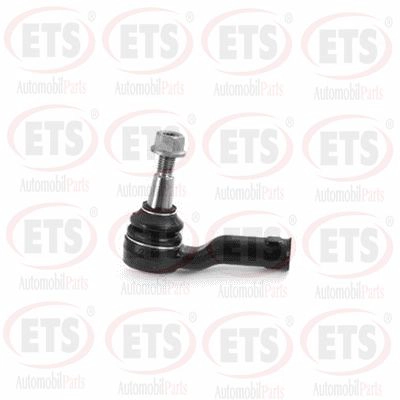 Tie Rod End (12.TR.313)