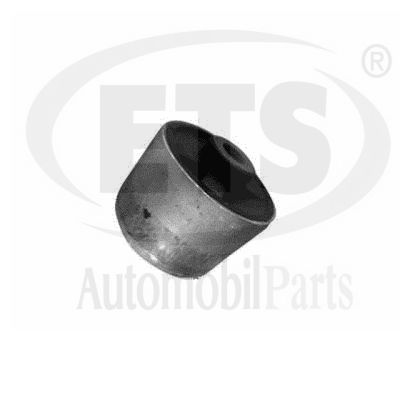 Mounting, control/trailing arm (22.SB.661)