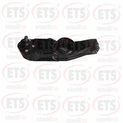 Control/Trailing Arm, wheel suspension (16.TC.469)