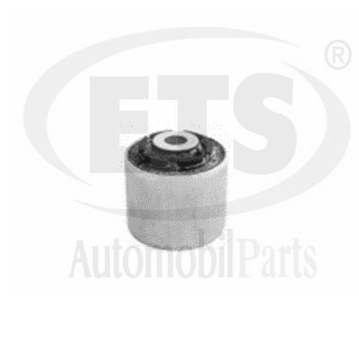 Mounting, control/trailing arm (34.SB.208)