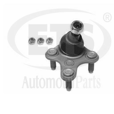 Ball Joint (31.BJ.620)