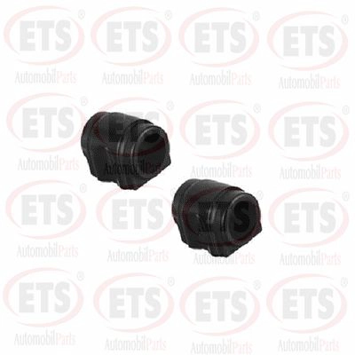Mounting, control/trailing arm (12.TK.301)