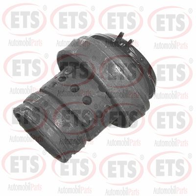 Mounting, engine (31.EM.875)