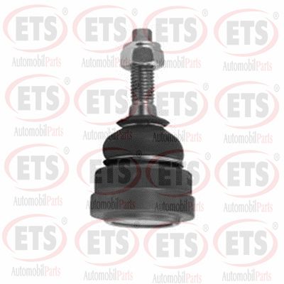 Ball Joint (35.BJ.363)