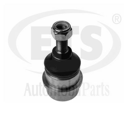 Ball Joint (12.BJ.605)