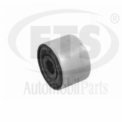 Mounting, control/trailing arm (31.SB.336)