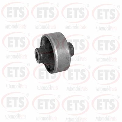 Mounting, control/trailing arm (54.SB.202)