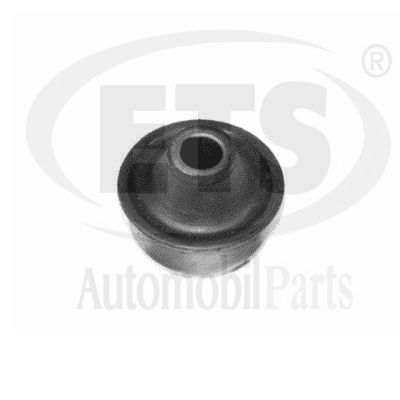 Mounting, control/trailing arm (19.SB.450)