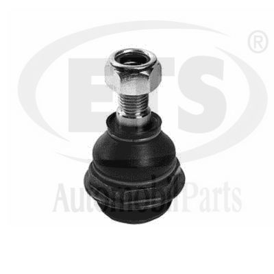 Ball Joint (09.BJ.491)