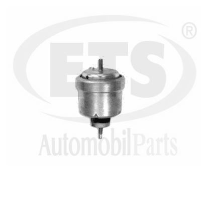 Mounting, engine (19.ST.913)