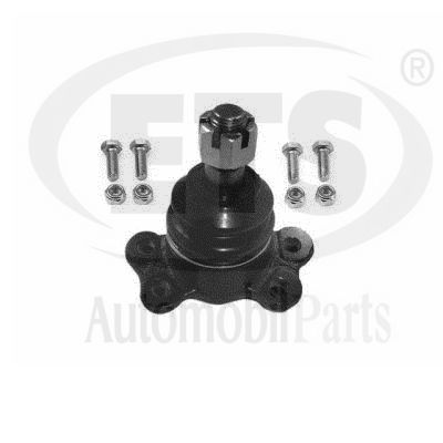 Ball Joint (11.BJ.120)