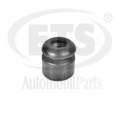 Suspension Strut Support Mount (06.ST.124)