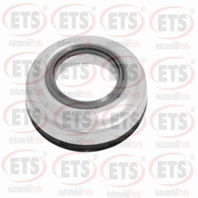 Suspension Strut Support Mount (29.SM.307)