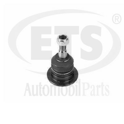 Ball Joint (12.BJ.607)