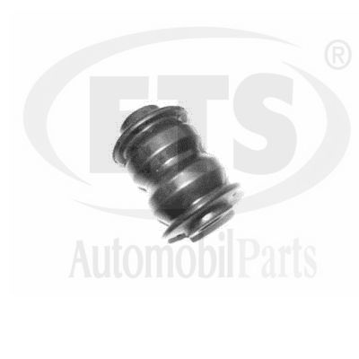 Mounting, control/trailing arm (11.SB.065)