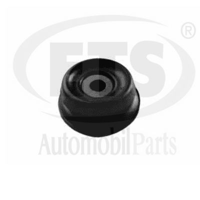 Mounting, engine (31.ST.829)
