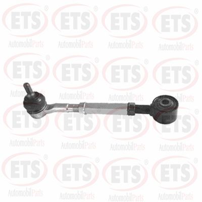 Rod/Strut, wheel suspension (29.DL.406)