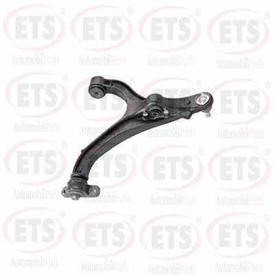 Control/Trailing Arm, wheel suspension (35.TC.668)