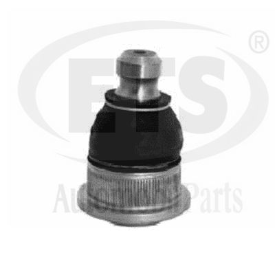 Ball Joint (22.BJ.856)