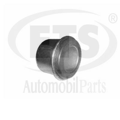 Mounting, control/trailing arm (05.SB.421)