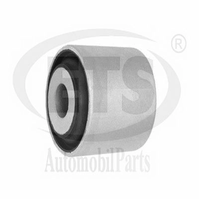 Mounting, control/trailing arm (15.SB.500)