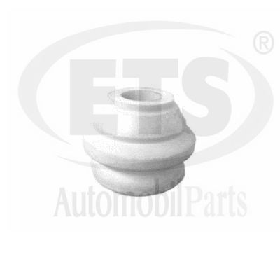 Mounting, engine (31.ST.885)