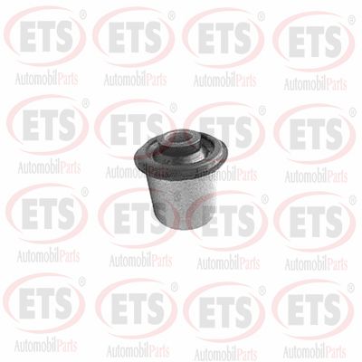 Mounting, control/trailing arm (18.SB.255)