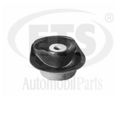 Mounting, control/trailing arm (31.SB.331)