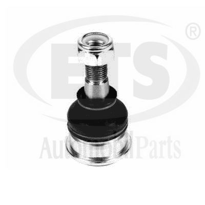 Ball Joint (18.BJ.191)