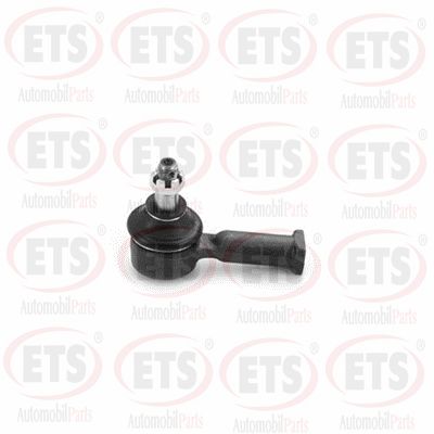 Tie Rod End (73.TR.302)