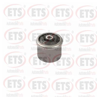 Mounting, control/trailing arm (31.SB.360)