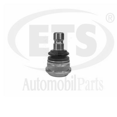 Ball Joint (09.BJ.144)