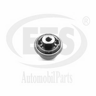 Mounting, control/trailing arm (22.SB.038)