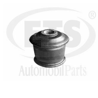 Mounting, control/trailing arm (31.SB.301)