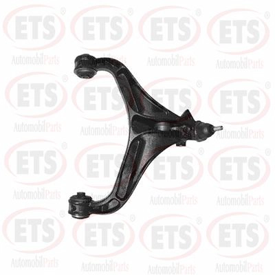 Control/Trailing Arm, wheel suspension (55.TC.610)