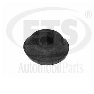 Mounting, engine (31.ST.880)