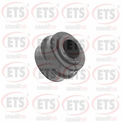 Bracket, stabiliser mounting (37.SR.155)