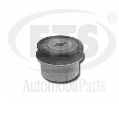 Mounting, control/trailing arm (19.SB.496)