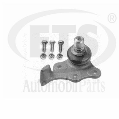 Ball Joint (19.BJ.142)