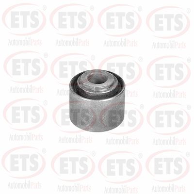Mounting, control/trailing arm (06.SB.620)