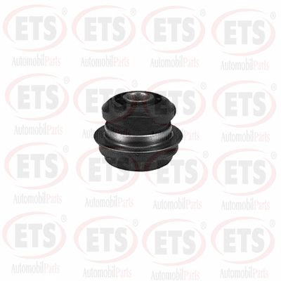 Mounting, control/trailing arm (15.SB.751)