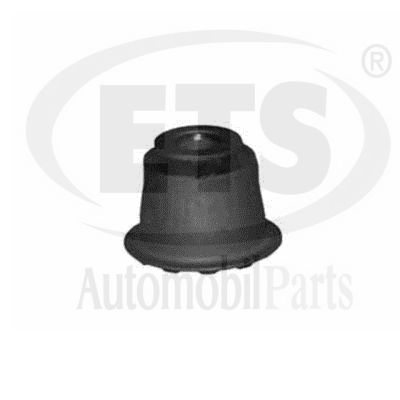 Mounting, control/trailing arm (06.SB.527)